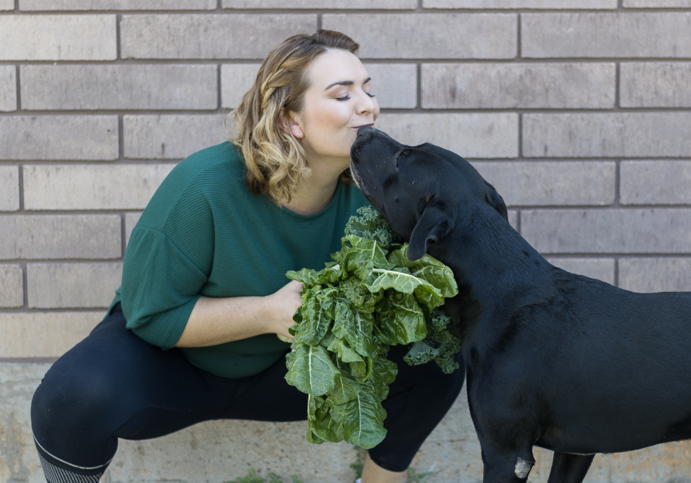 raw-australian-pet-nutrition
