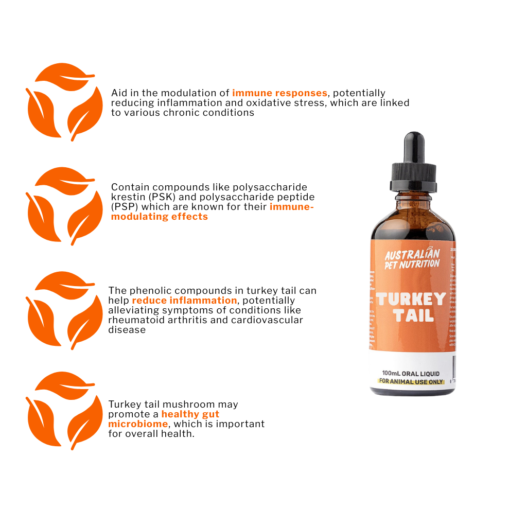 Turkey Tail Mushroom 100ml
