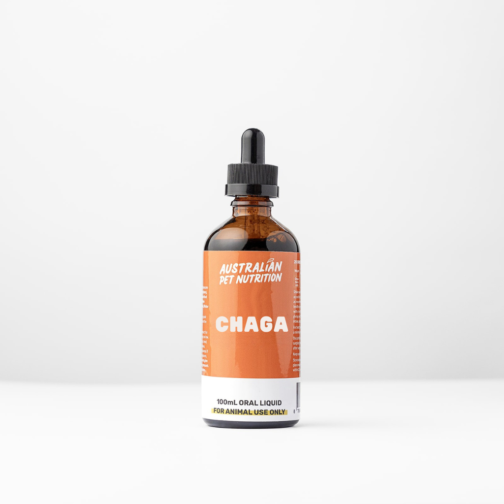Chaga Mushroom 100ml