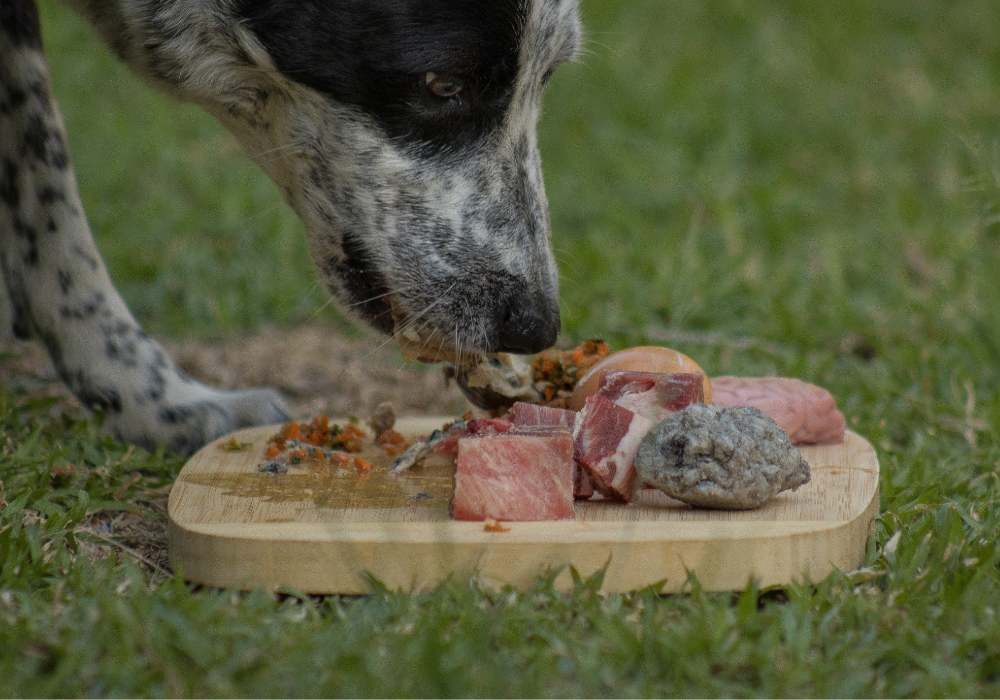 raw-australian-pet-nutrition