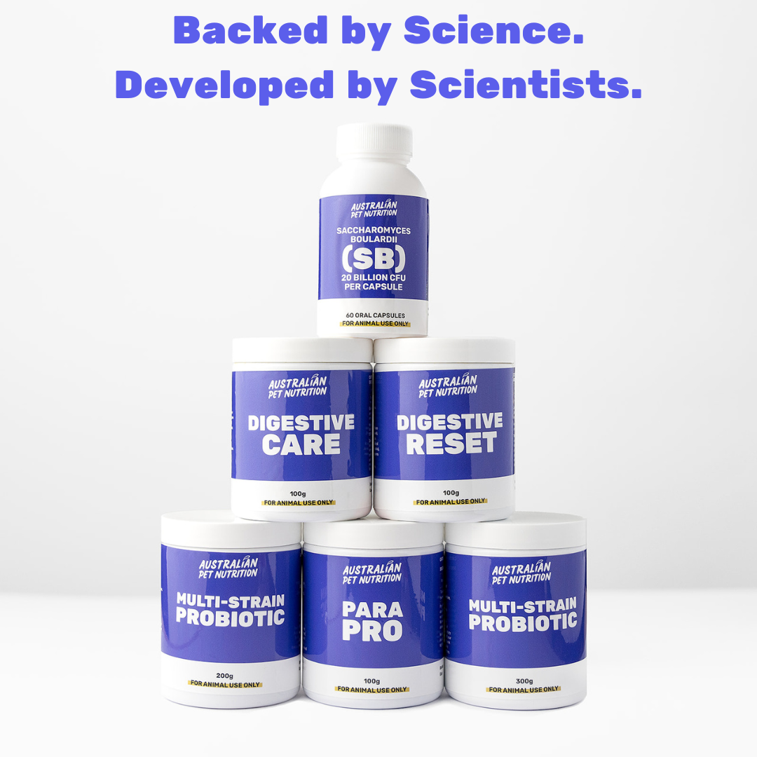 Pet digestive supplements Dog digestive health Cat gut health Natural digestion aid for pets Digestive aid for dogs Cat digestive support Probiotic pet supplements Dog gut health supplementsDigestive enzymes for pets