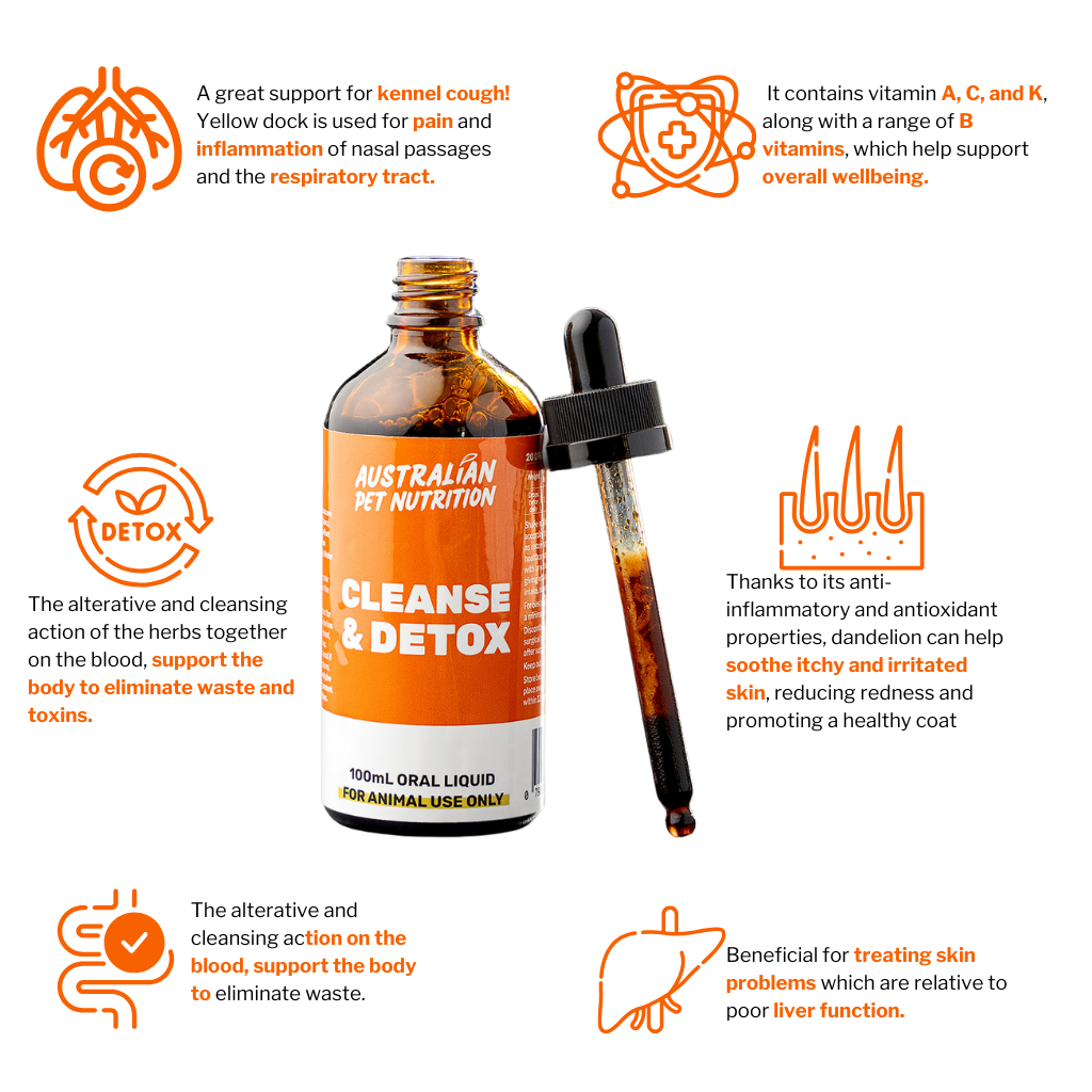 Pet immune boosters Immune supplements for dogs Cat immune support products Natural immune health for petsImmune booster for pets Natural immune support for dogs Herbal immune supplements for pets vaccine detox for pets heavy metal detox kennel cough herbs 