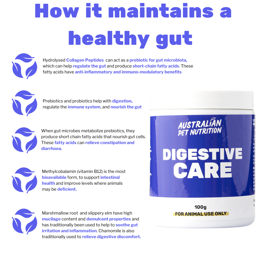Digestive Care Digestive Support Gut Restore Gut Health Pet digestive supplements Dog digestive healthCat gut health Natural digestion aid for petsDigestive aid for dogs Cat digestive support Probiotic pet supplementsDog gut health supplements Digestive enzymes for pets