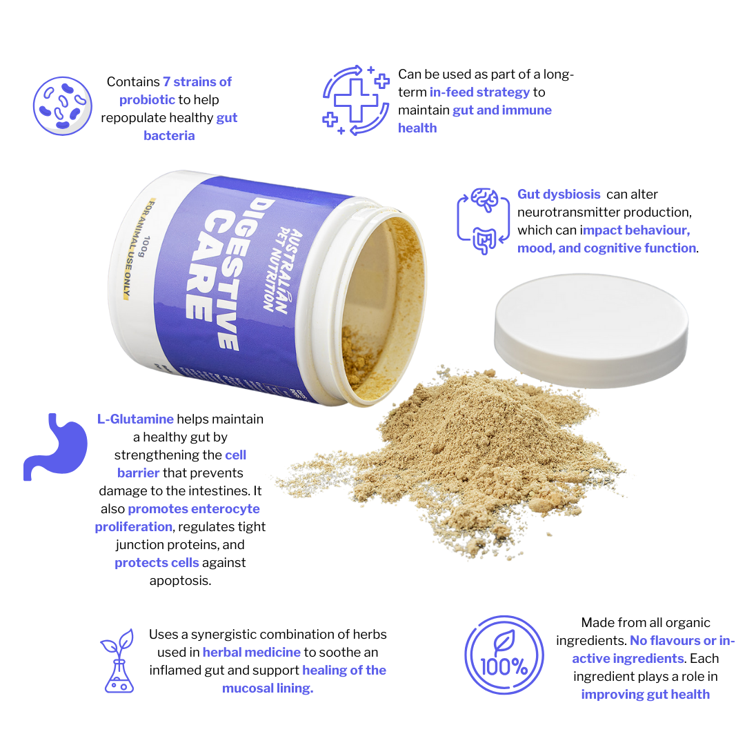 Digestive Care vet approved gut health vet approved probiotic Digestive relief supplements Balanced gut pet healthDigestive booster for dogs Low-allergy gut support for pets Herbal digestive aid for pets