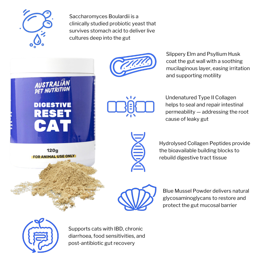 Digestive Reset Cat 120g