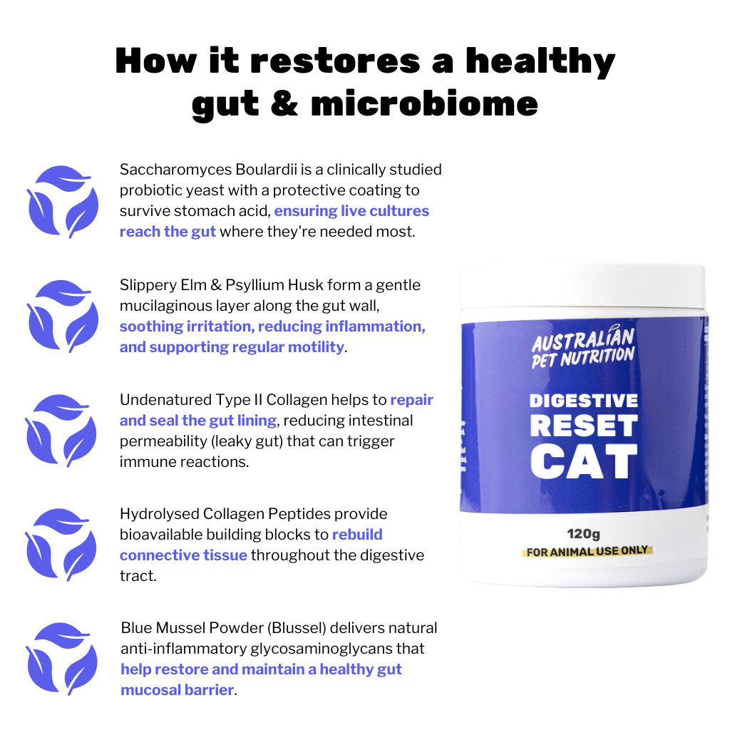 Digestive Reset Cat 120g