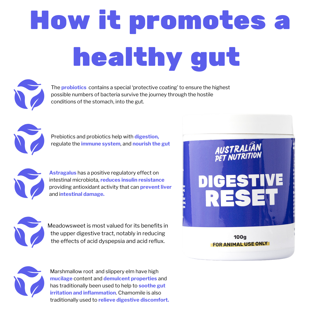 Gut Restore Digestive Reset Natural pet digestion aid IBD relief supplementsBalanced gut pet health Digestive booster for dogs Diarrhoea relief for dogs dog gut health supplement