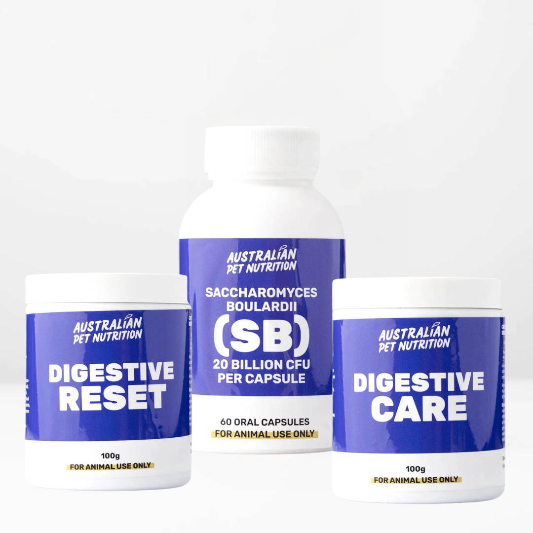 Dog health kitsCat wellness packsComplete nutrition bundles for petsDog wellness bundleCat health packagePet immune and joint support bundleAll-in-one pet care kits