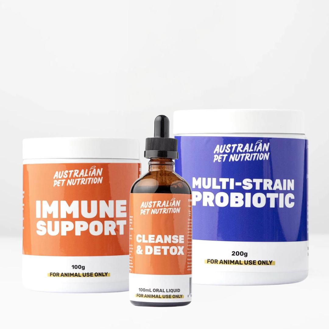 Skin-supporting herbal tincturesHerbal energy boosters for petsLiquid respiratory support for petsVet-approved pet care bundlePet holistic care kitsDog health supplement bundle