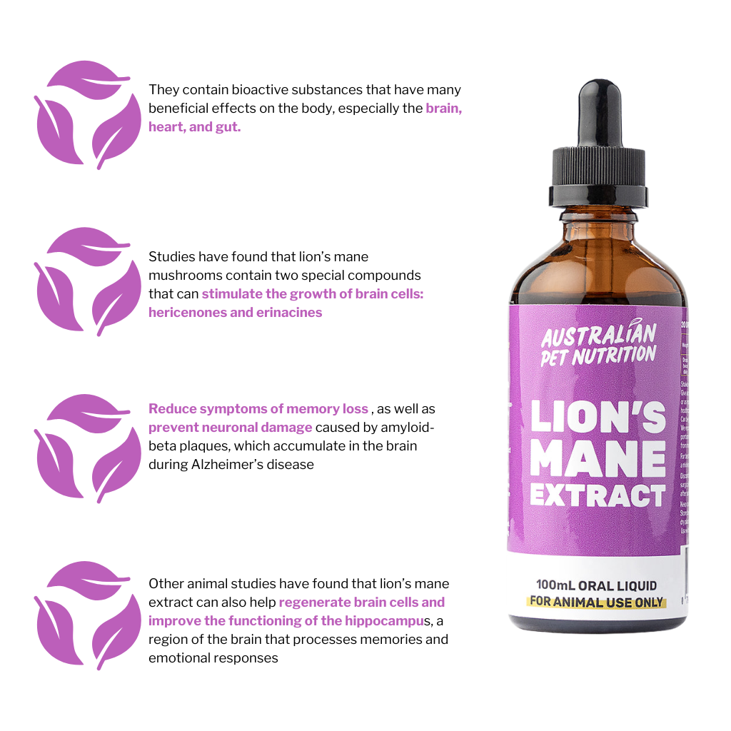 Lions mane Vet-approved joint care for dogs Active mobility pet supplementsJoint rejuvenation for cats joint healing for pets mushrooms for pets medicinal mushrooms brain health for pets dog brain health doggy demantia