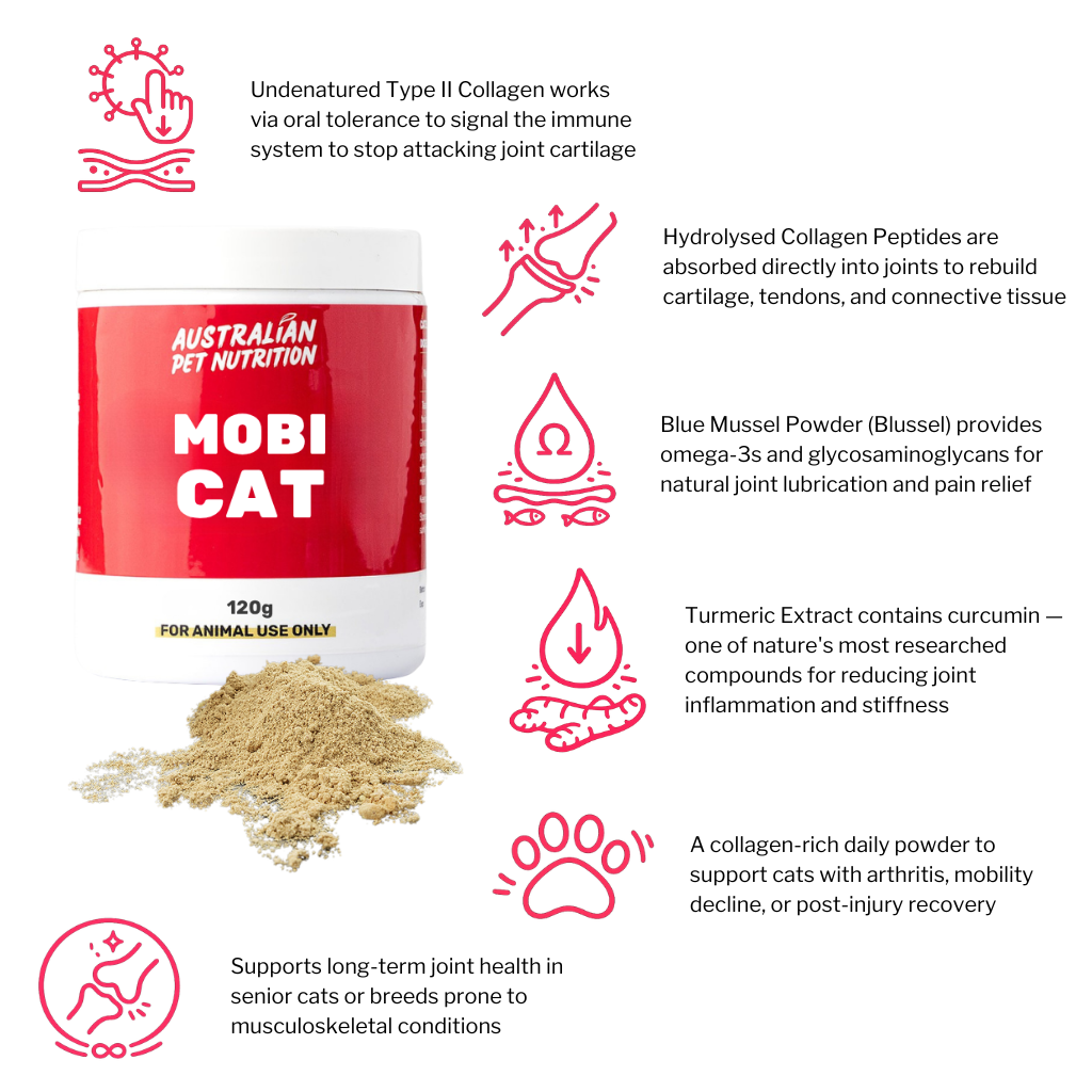 Mobi Cat 120g