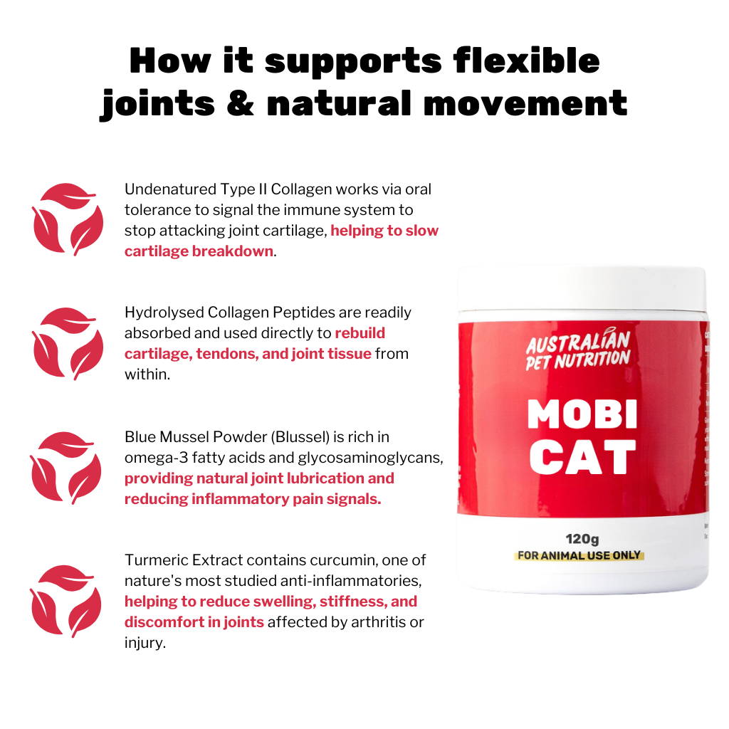 Mobi Cat 120g