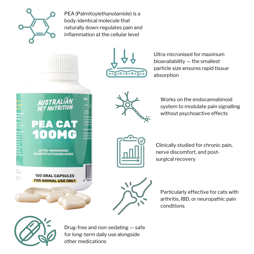 PEA Cat 100mg