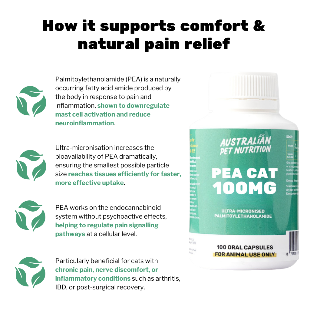 PEA Cat 100mg