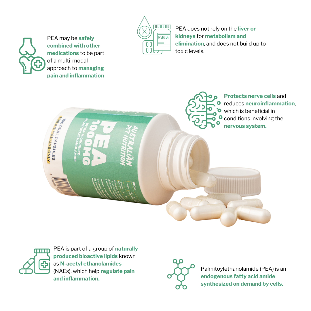 PEA Palmitoylethanolamide Anti-inflammatory dog supplements Pet mobility chews Liquid joint support for dogs Joint pain management for catsDog hip and joint health Pet cartilage support supplements Glucosamine pet supplements Joint relief for senior pets