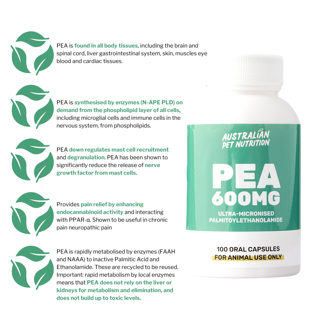 All-natural joint pain remedies Vet-approved joint care for dogs Active mobility pet supplements Joint rejuvenation for cats Joint care for dogsMobility support for petsNatural joint supplements for dogsPain relief for aging dogsDog arthritis care supplementsHerbal joint support for pets PEA P-E-A 