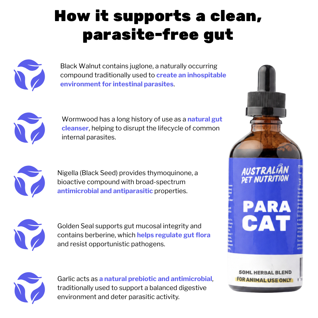 Para Cat 50ml