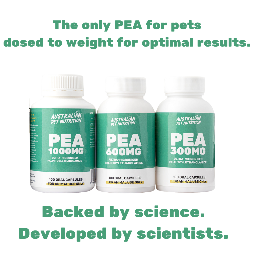 PEA P-E-A Palmitoylethanolamide CBD pain relief pain relief for pets Joint pain management for cats Dog hip and joint health Pet cartilage support supplementsGlucosamine pet supplements Joint relief for senior pets Turmeric joint support for dogs Pain-relief tinctures for dogs