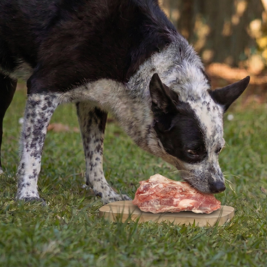 raw-australian-pet-nutrition