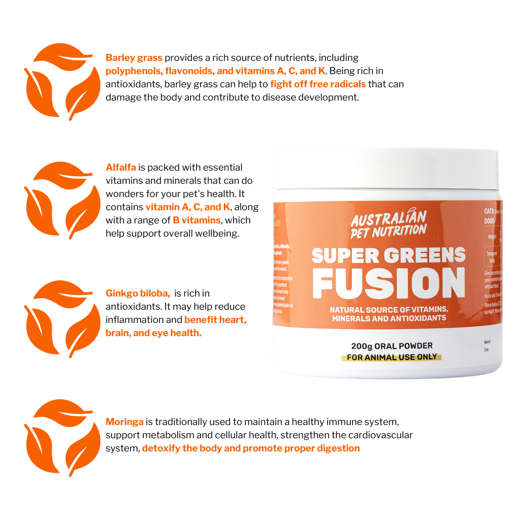 Super Greens Fusion Liver support heart eye brain eye health for pets body detox for pets herbal pet detox cat meal topper dog meal topper