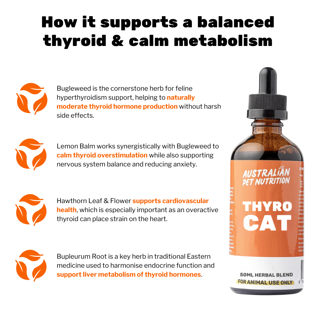 Thyro Cat 50ml