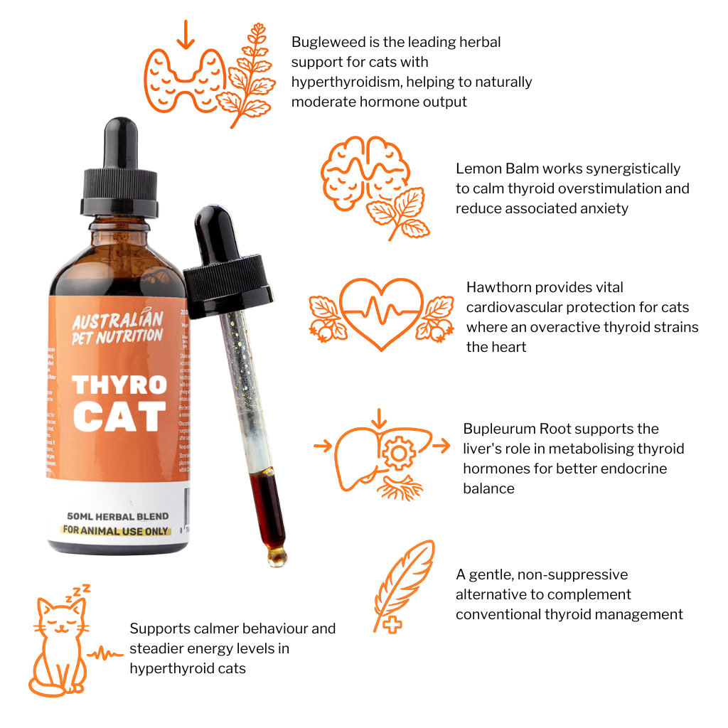 Thyro Cat 50ml