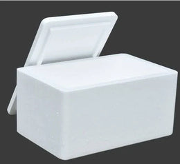 Reusable Freezer Box
