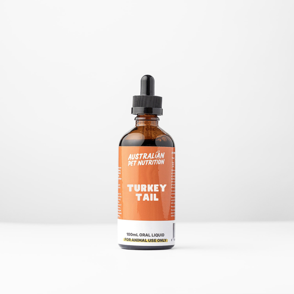 dogs with cancer cancer dog natural cancer support natural health support for pets turkey tail for pets